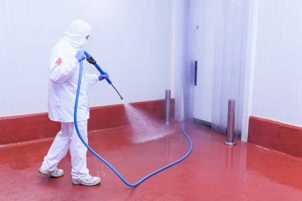 Best Post-Construction Pressure Washing  in Opelousas, LA